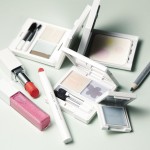 CHICCA 2016Spring Collection