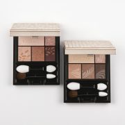 ドラマティックスタイリングアイズ